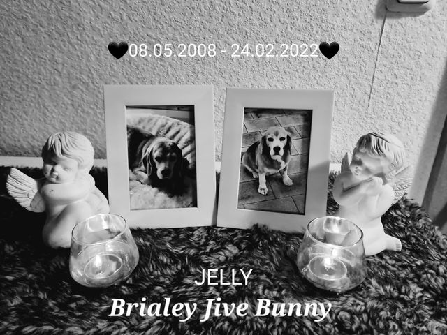 RIP Jelly