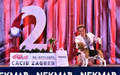 IHA Genf & IHA Zagreb
