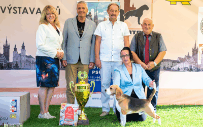 🍀🍀🍀 Es war definitiv SEIN Tag oder SEIN Wochenende ! 🍀🍀🍀