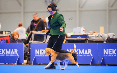 🍀🏆🍀🏆🍀 Auf nach Genf mit Grisu & Simba oder DAS Löwen-Wochenende ! 🍀🏆🍀🏆🍀