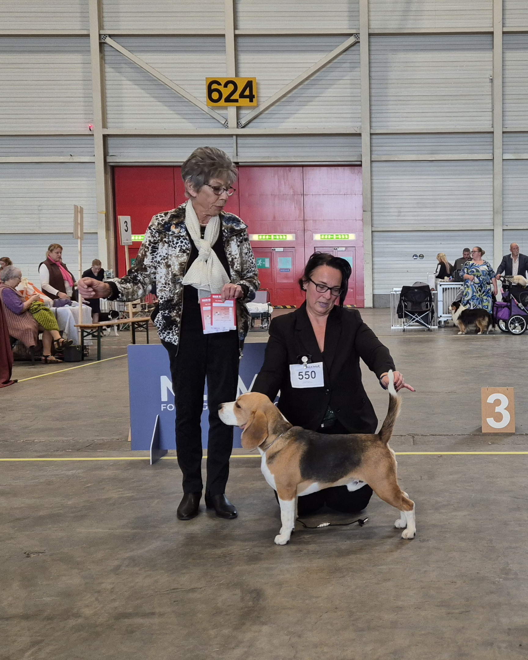 Simba bei der IHA/NHA in Genf, Schweiz