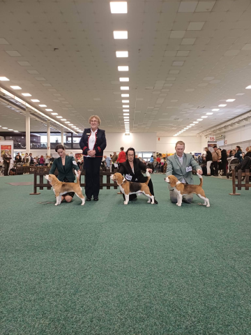 Grisu auf der IHA Nitra 2026