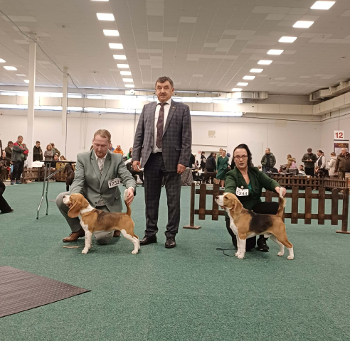 Simba auf der IHA Nitra 2026