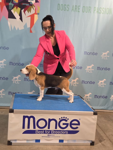 Valerio bei der IHA Luxemburg