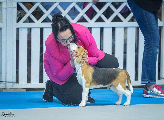 Grisu und Valerio bei der IHA Luxemburg