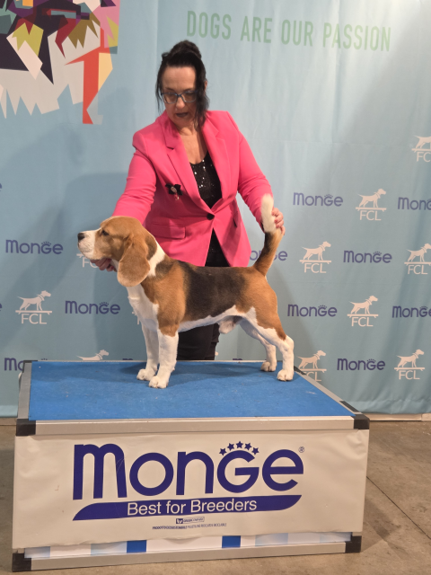 Grisu und Valerio bei der IHA Luxemburg