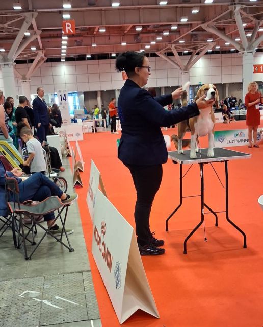 IHA Bologna 2026