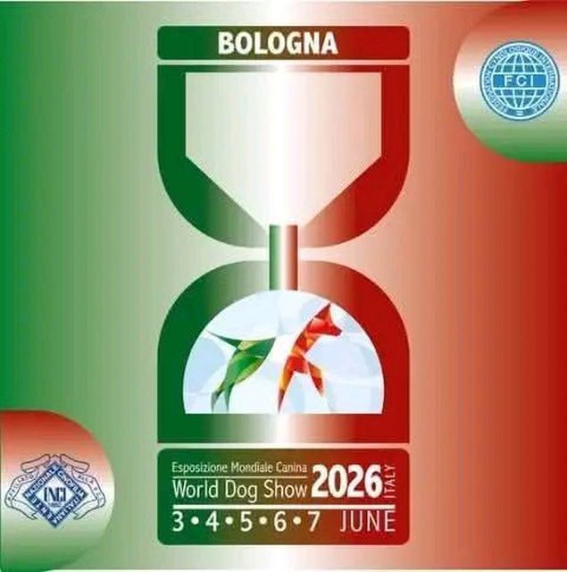 IHA Bologna 2026