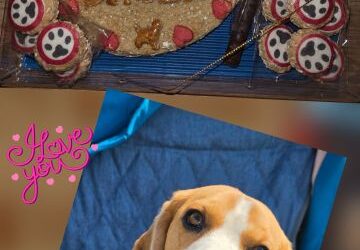Happy Birthday Simba