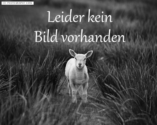 Leider kein Bild vorhanden